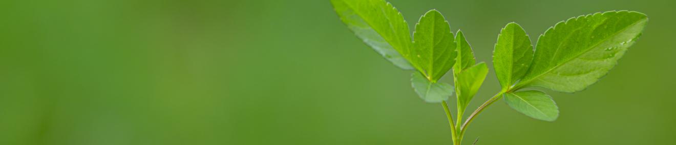 Экологически безопасные решения