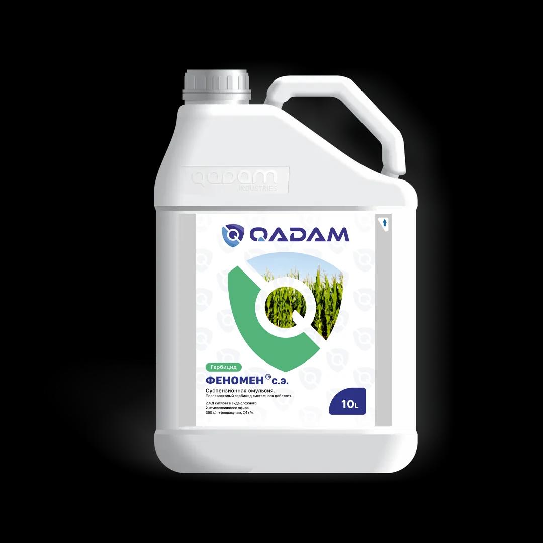 Феномен, с.э.