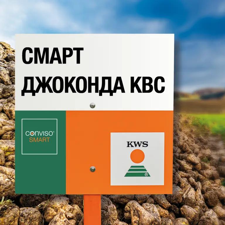 СМАРТ ДЖАКОНДА КВС