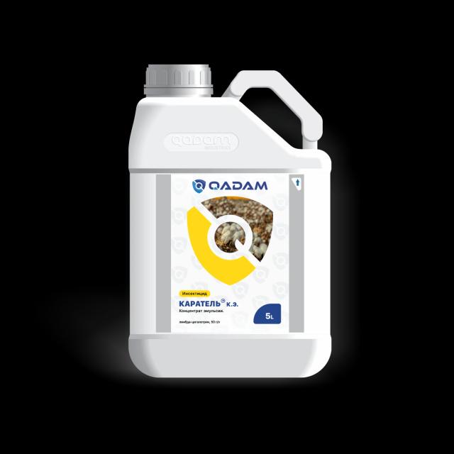 Каратель, к.э.