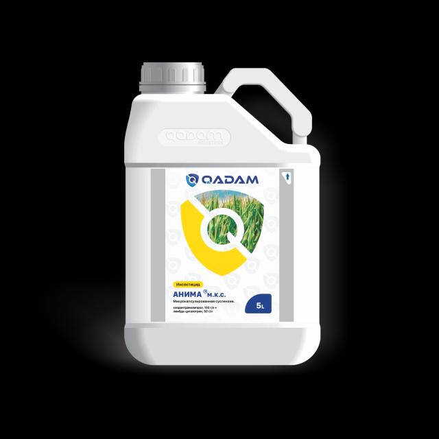 Анима, м.к.с.