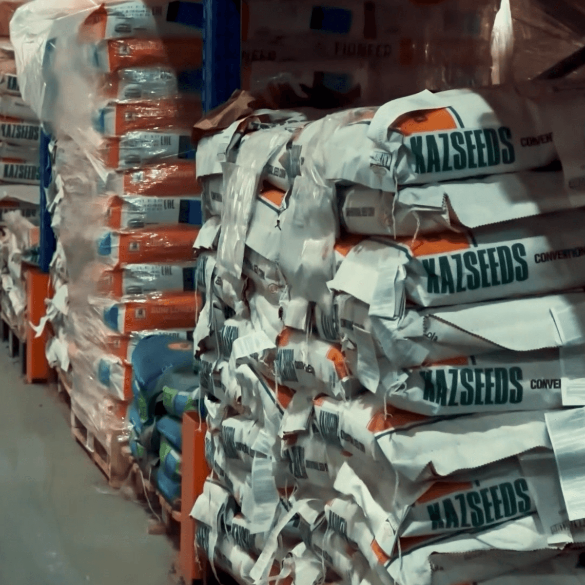 Непревзойденное разнообразие