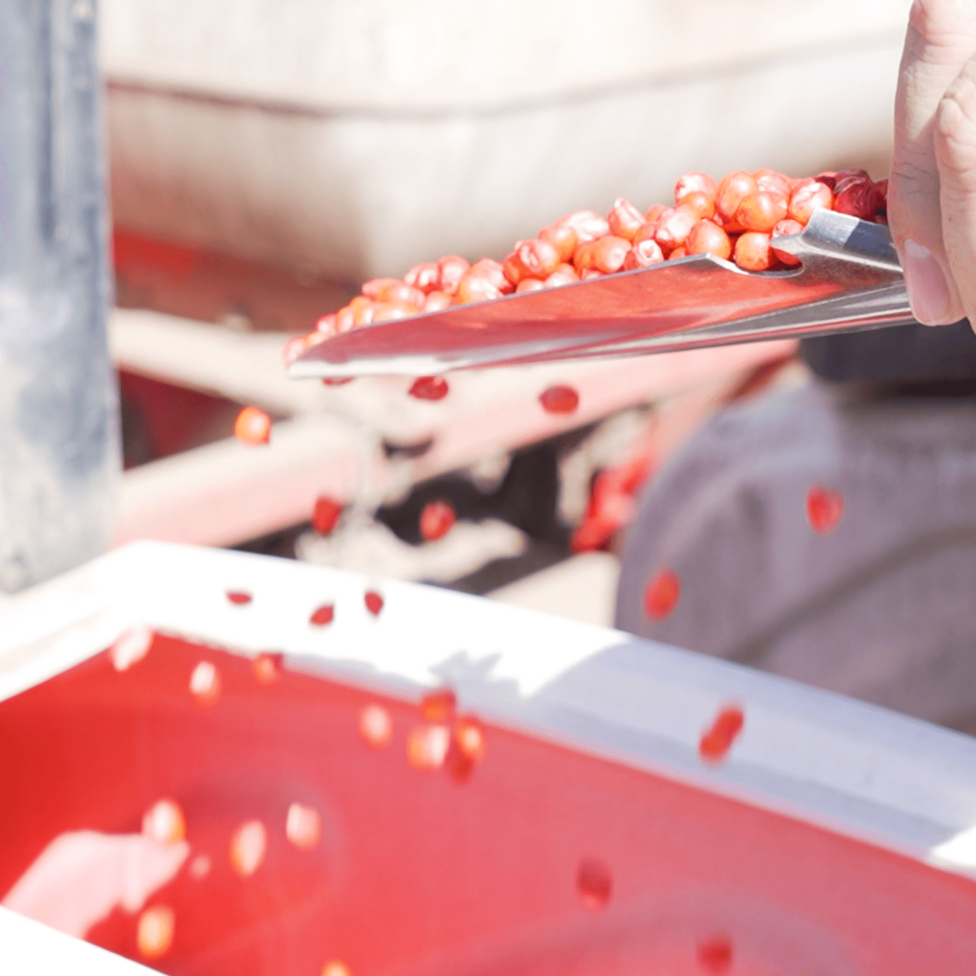 Глобальный опыт, локальные решения